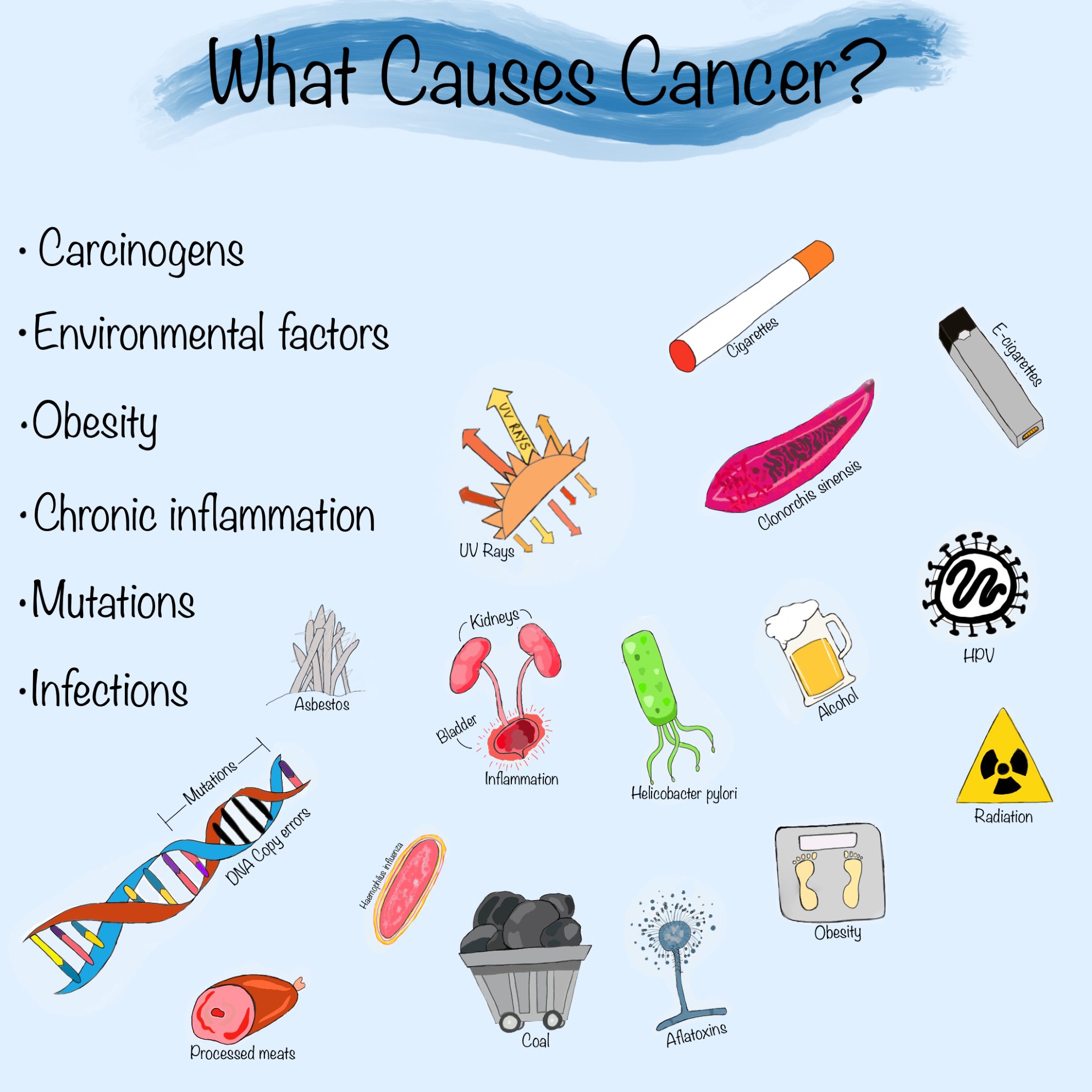 what causes cancer essay